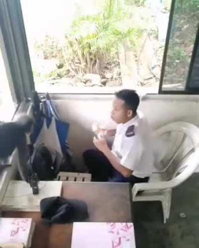 MUCA EM BANGU ANTES DAS LIVES