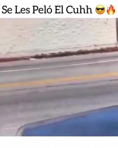 se les pelo baltazar 💨