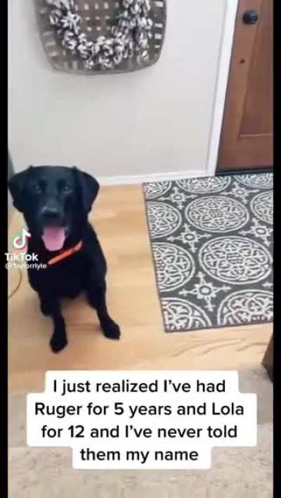 they can't believe it 😂