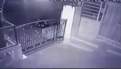 Big cat running behind house cat