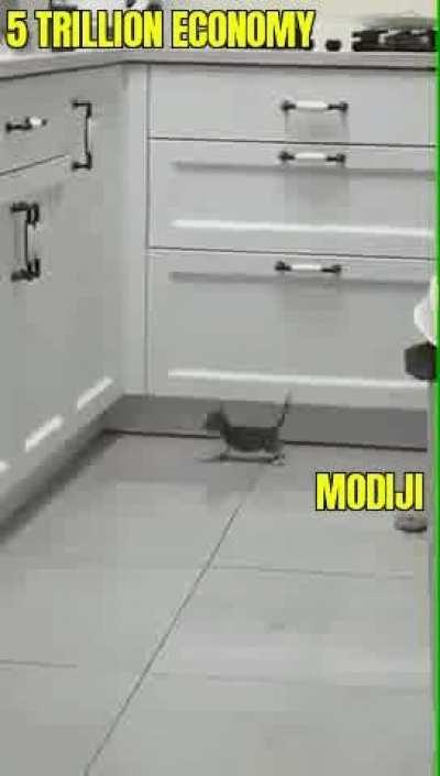 Atleast he is trying..