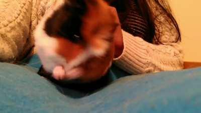 Finally captured a piggy wash on camera!