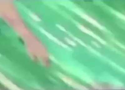 jojo reference in different anime?!