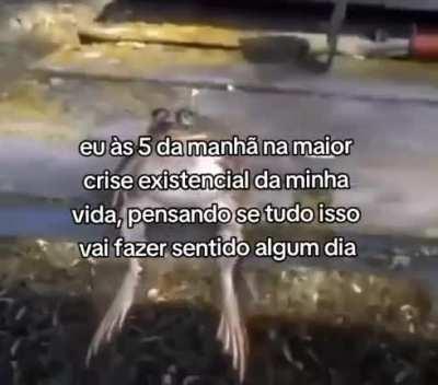 eu_nvr