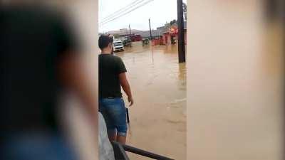 Attacking a truck with a baseball bat