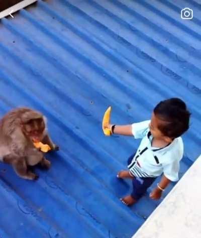WCGW trying to feed a monkey