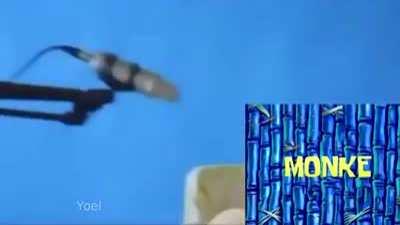 Let’s go, Monke!?