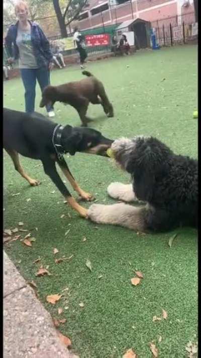 Not letting the ball go under any circumstances...