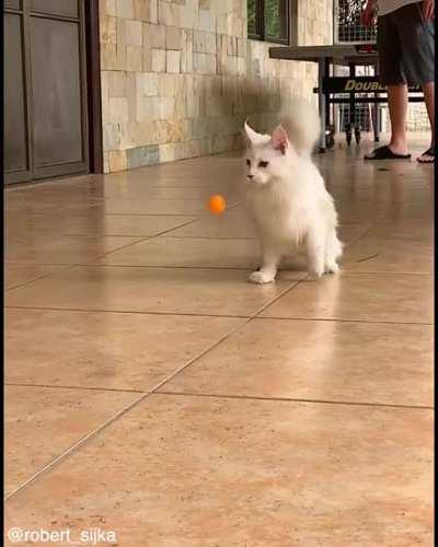 Missed it by that much...