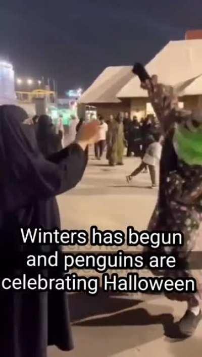 Bhai ye women rights kaha se milte hain?