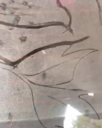 Dirty car artist leaves masterpieces in the dust