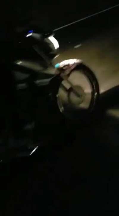 WCGW doing tricks on a motorway.