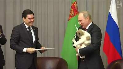 Putin saves dog