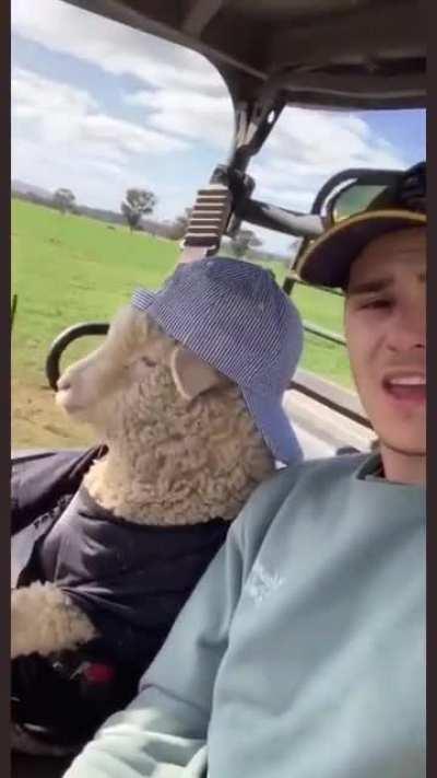 Meanwhile in Abergavenny...