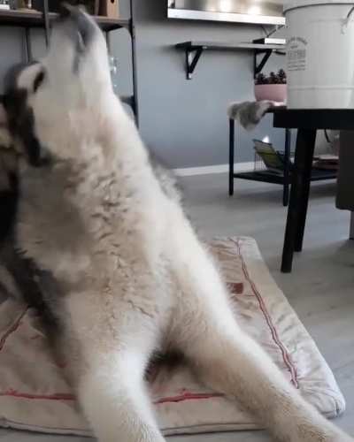 Woooo
