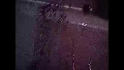 free my boy free my boy free my boy free my boy free my boy free my boy free my boy free my boy free my boy free my boy free my boy free my boy free my boy free my boy free my boy free my boy free my boy free my boy free my boy free my boy free my boy fre