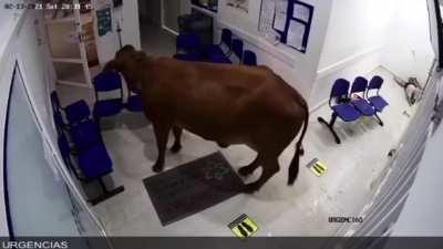 Доктор Бы Чок для осмотра пациентов прибыл