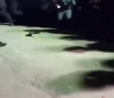 Someone lost their chankla