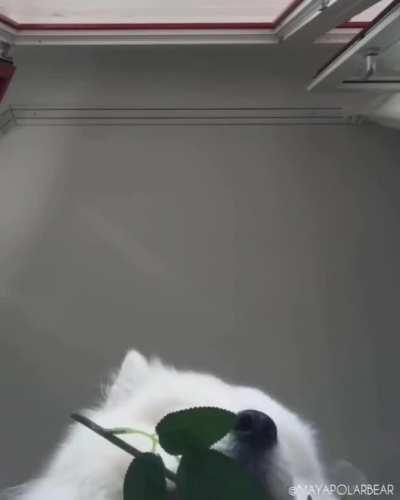 por si tuvieron un mal día