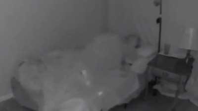 Upvote for no reason because yes