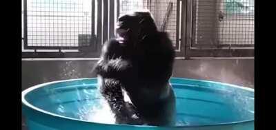 Mi pana Orson duchandose 😳 se le ve bien fresco 😎