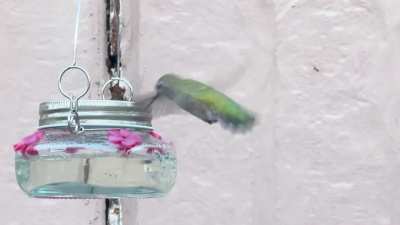 Just some cuties having dinner together after sunset.