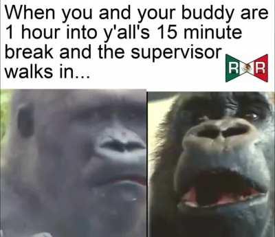 Uhhh...we can explain