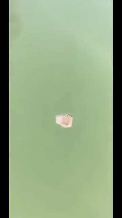 Heart attack aa jaayega 🥵