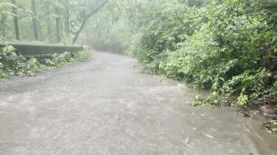 Sidewalk turned river