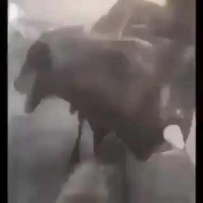 Realmente è assim 😁🤗