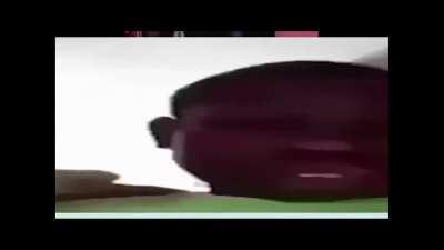 21st century big funny!!!!1 haha