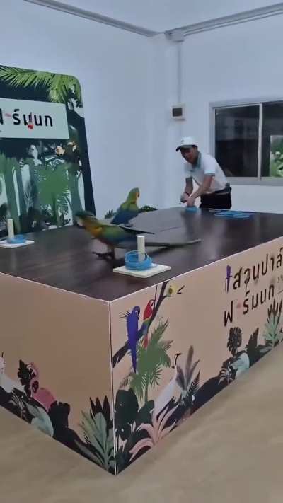 Cheater 🤣🤣🤣