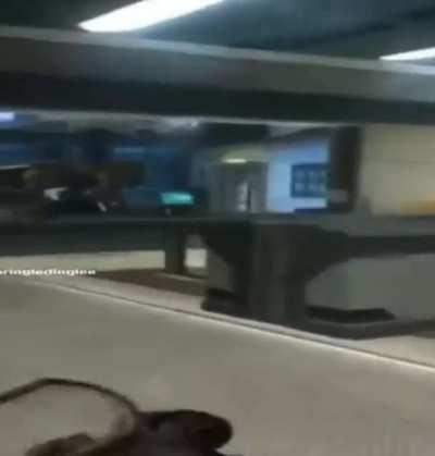 wordington idk anymore