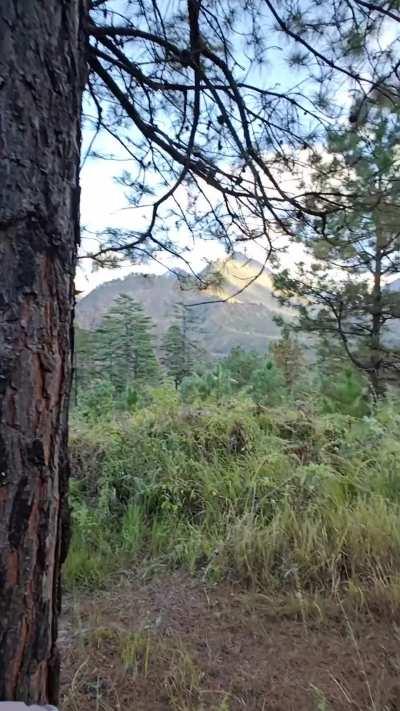 Got a little horny during the hike.