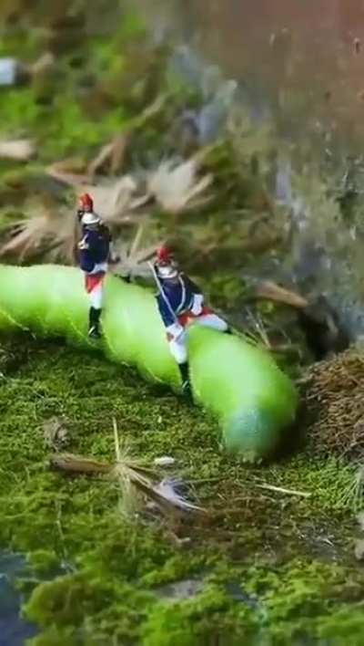 New episodes coming soon ...