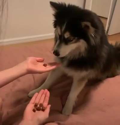 I can't stop laughing