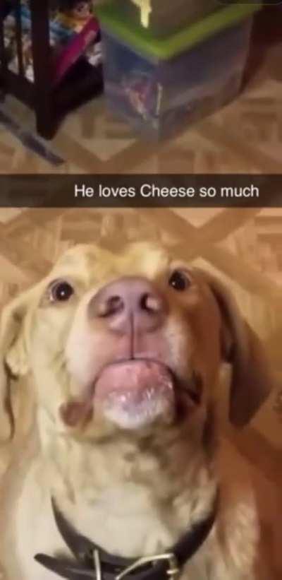 The cutest addiction