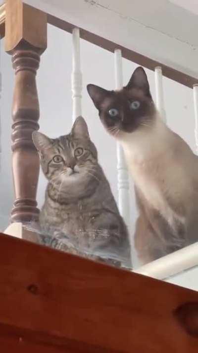 Видимо что-то случилось...