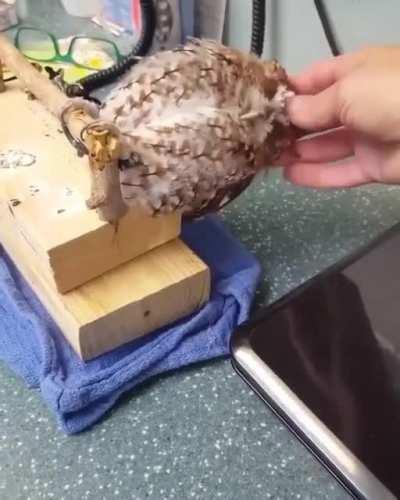 Oooowww yeaaahhhhhhhh