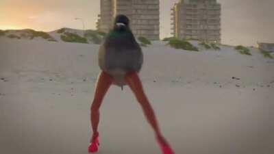 Hay Perú tus palomas vuelan