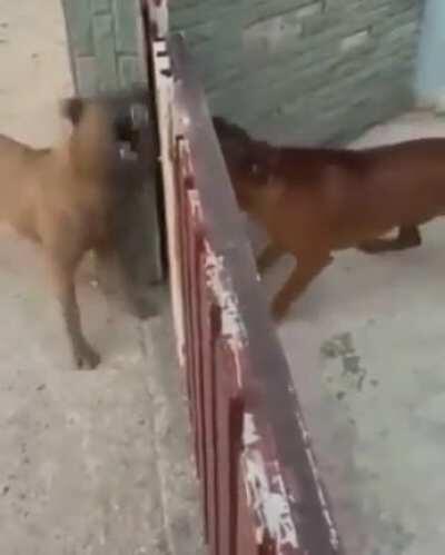 People online vs when they actually meet