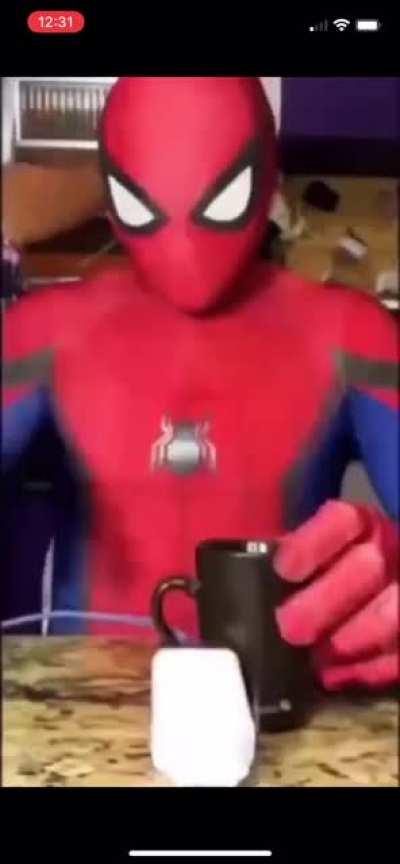 Spider-man: no brain cells home