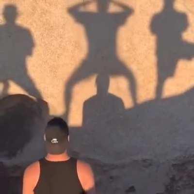 Shadow fight