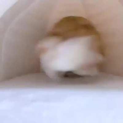 un minuto de lo mismo