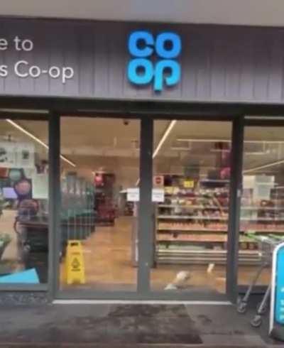 Open the door for him my guy 😒