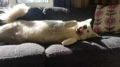 No wake up, only cuddles