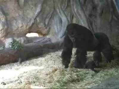 This is so sweet and reminds us how similar we are