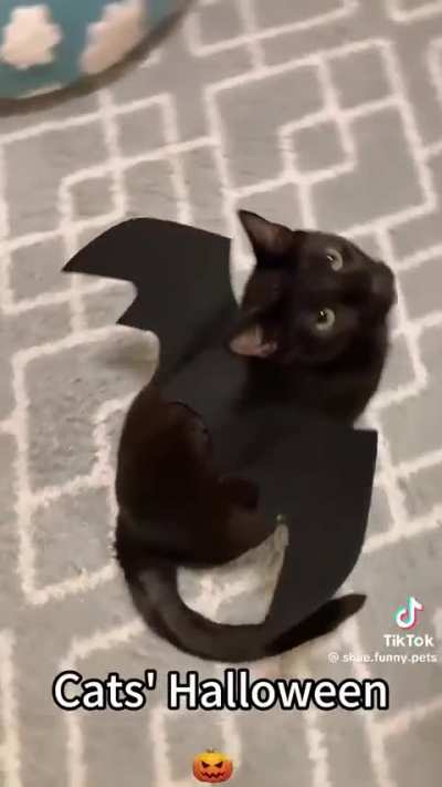 Which one is your favorite?