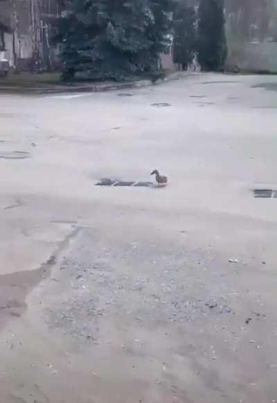 This makes me feel sad inside