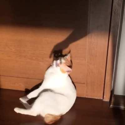 Attack of the shadow creature!